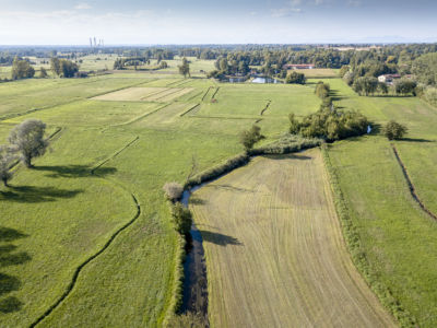 Paesaggio a Casterno - Parco del Ticino