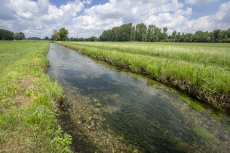 Roggia a Morimondo - Parco del Ticino