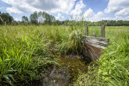 Chusa in legno della marcita di Bernate - Parco del Ticino