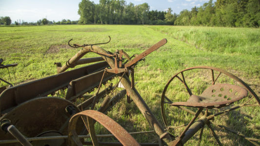 Antica macchina agricola a Bernate - Parco del Ticino