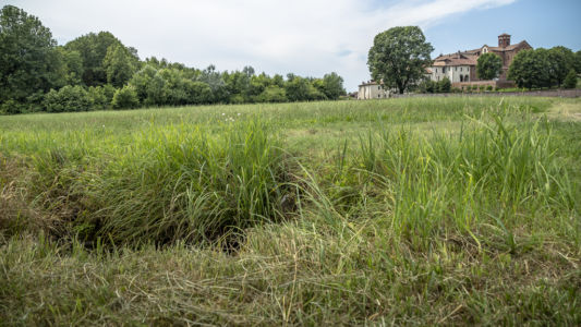 Marcita di Morimondo - Parco del Ticino